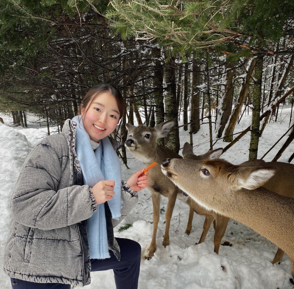 photograph of Sumin Byun feeding a carrot to some deer